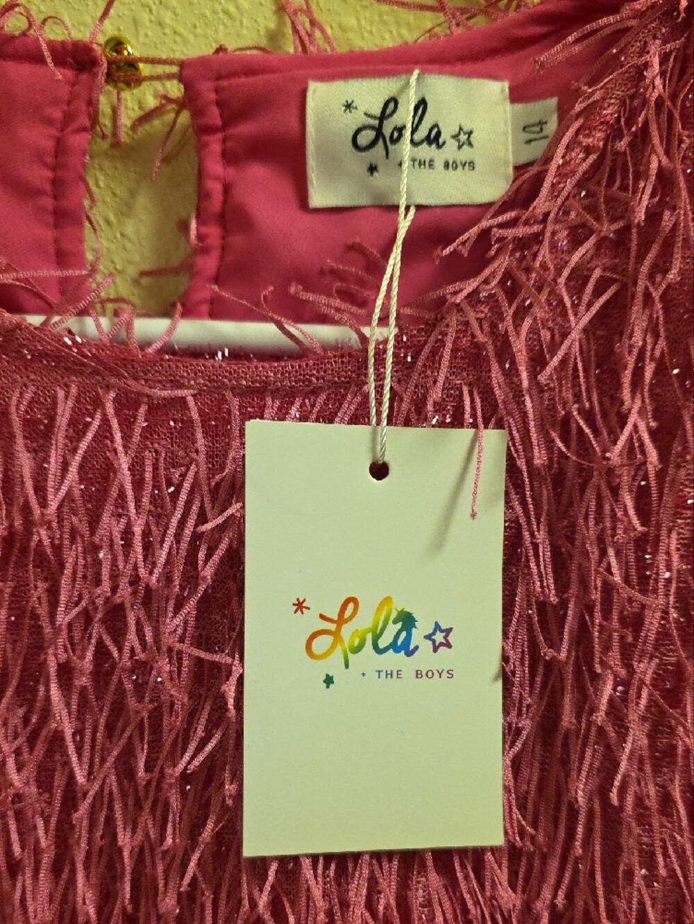 Lola + The Boys Bright Mia Pink Fringe A-Line Party Dress -  NWT Size 14T - Picture 2 of 10